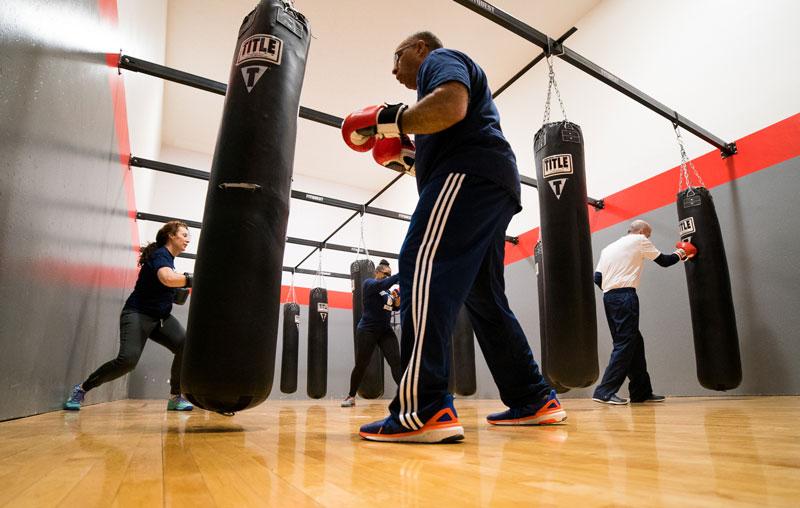 rock boxing training aid
