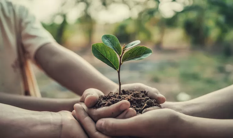 three hand holding tree for planting. concept earth day