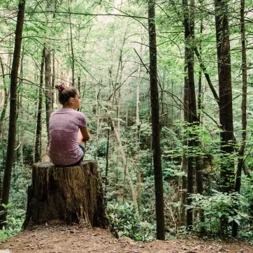 A woman sitting on a tree stump in the woods