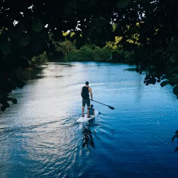 A man and his son paddleboarding on a river